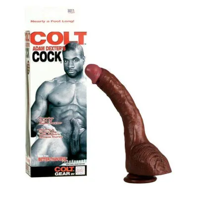 Colt Adam Dexter s Cock