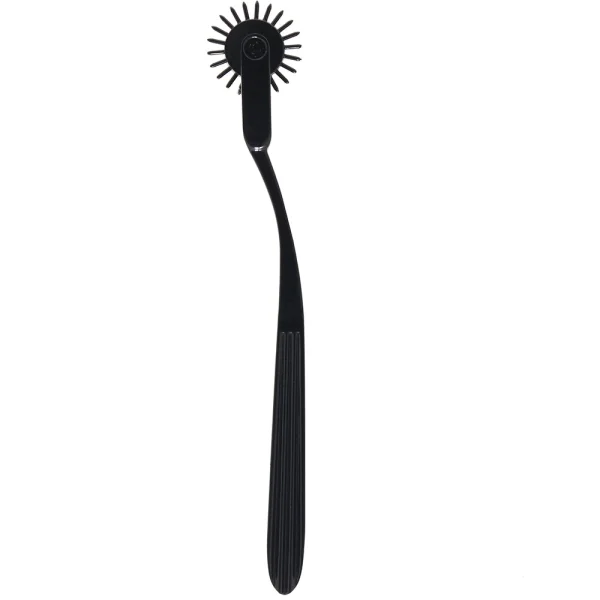 Boundless Pleasure Wheel 22 Point Nickle-Free Alloy Pinwheel By CalExotics - Black