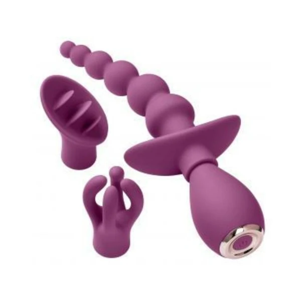 Gift Sets: Cloud 9 Health & Wellness Anal Clitoral & Nipple Massager Kit Plum