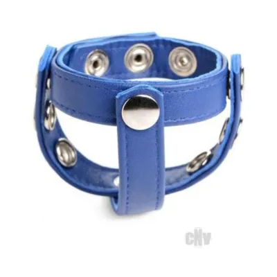 Cg Leather Snap on Harness Blue