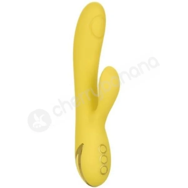 California Dreaming San Diego Seduction Tapping & Gyration Thumping Vibrator