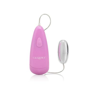 Pocket Exotics Waterproof Bullet Silver