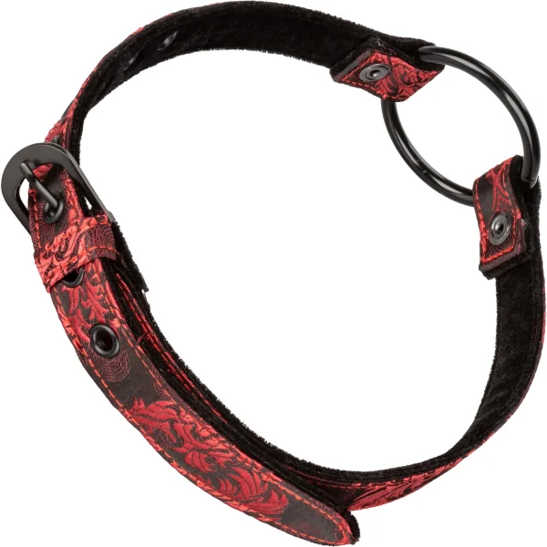 Scandal Wide Open Mouth Gag by CalExotics