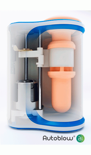 AutoBlow AI — image 5 of 13