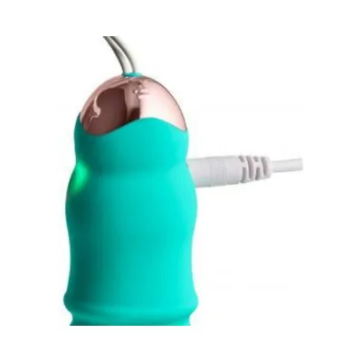 Personal Massagers Cloud 9 Health Wellness Wireless Remote Control Egg W Stroking Motion Teal