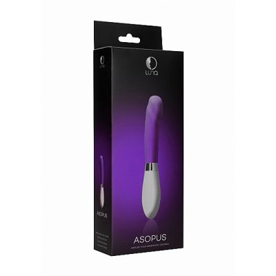 Asopus Purple