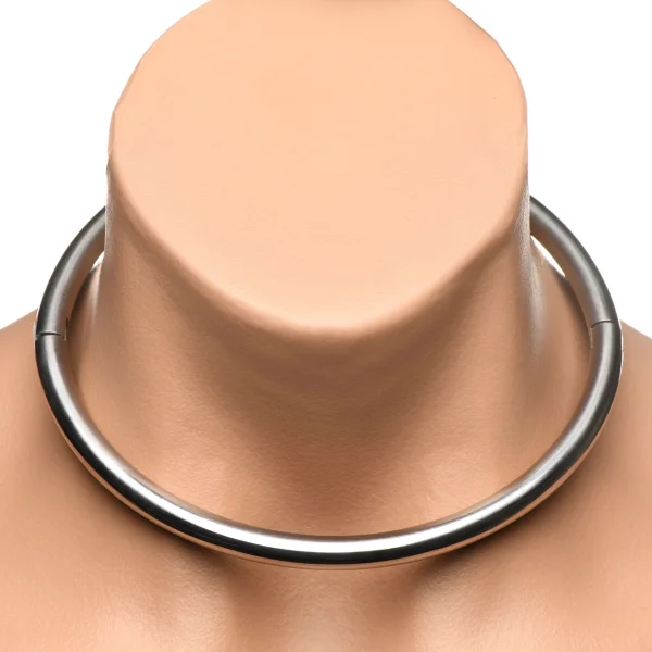 Master Series Possession Steel Lock Collar
