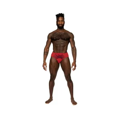 Men s Clothing Male Power Sassy Lace Bikini Solid Pouch Red L