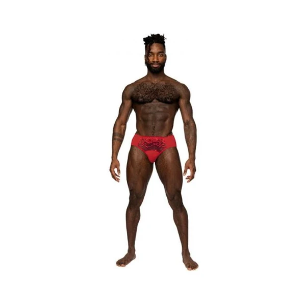 Men's Clothing: Male Power Sassy Lace Bikini Solid Pouch Red L
