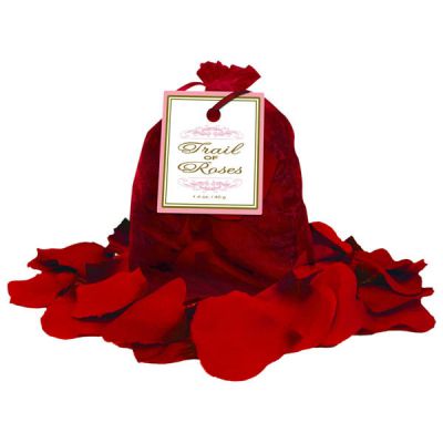 Trail Of Red Rose Petals