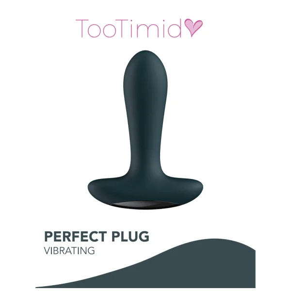 Perfect Plug Vibrating Silicone Anal Toy