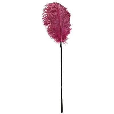 Pink Feather Pink