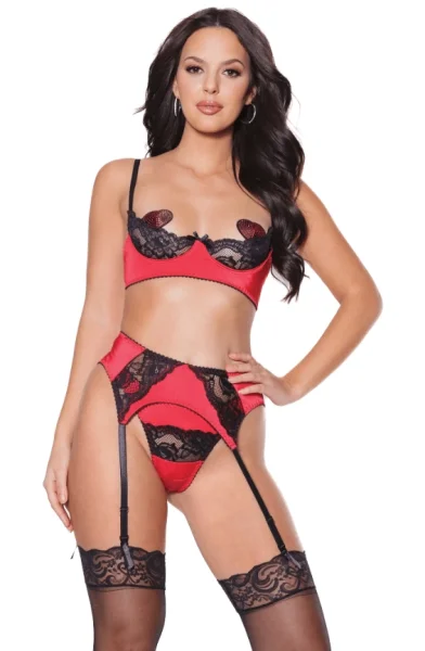 Red & Black Lace Underbust Bra, Panty, & Garter Belt — image 4 of 6