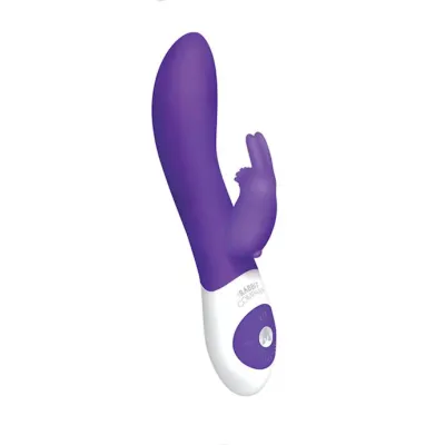 The Rotating Rabbit Usb Rechargeable Purple 8 Inch