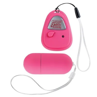 Shanes World Hook Up Remote Control Pink