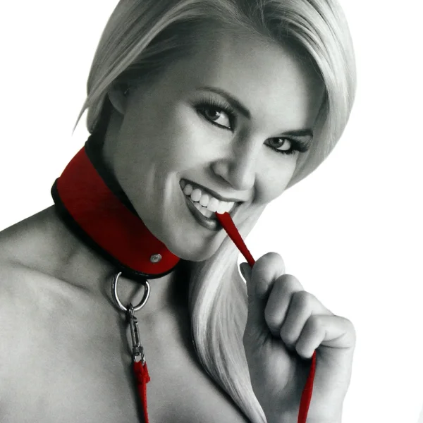 Sex & Mischief Leash and Collar