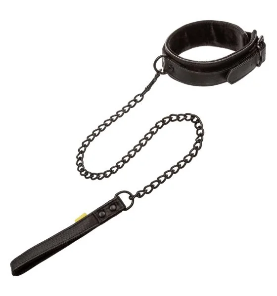 Boundless Collar and Leash