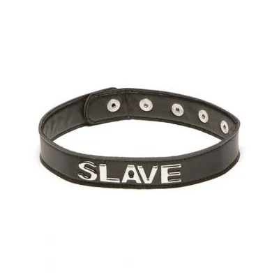 Talk Dirty To Me Collar Slave