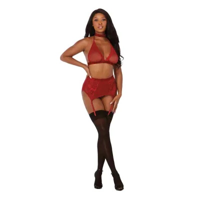 Bra Garterbelt G String One Size Garnet