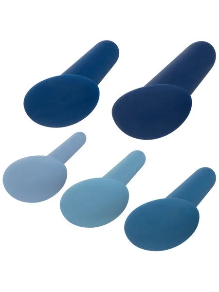 They-Ology 5 Piece Wearable Anal Training Set