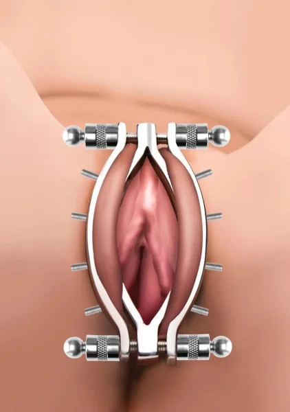 Stainless Steel Labia Clamp - BDSM Pussy Spreader