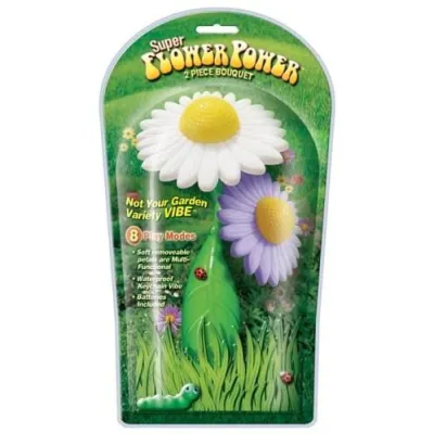 Super Flower Power 2 Piece Bouquet