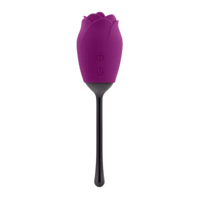 Clitoral Stimulation Playboy Petal Rechargeable Silicone Tongue Flicking Vibrator Wild Aster