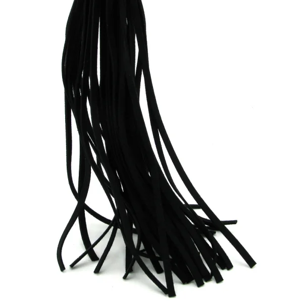 SINFUL whip