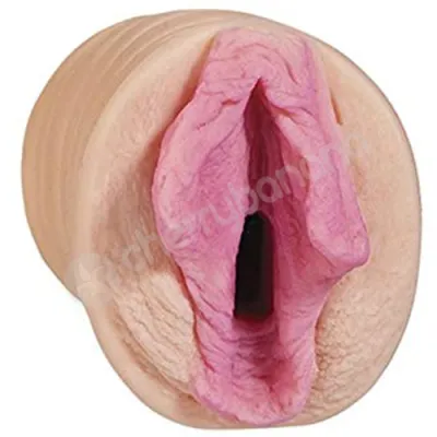 All Star Porn Stars Kimberley Kane Pussy Masturbator