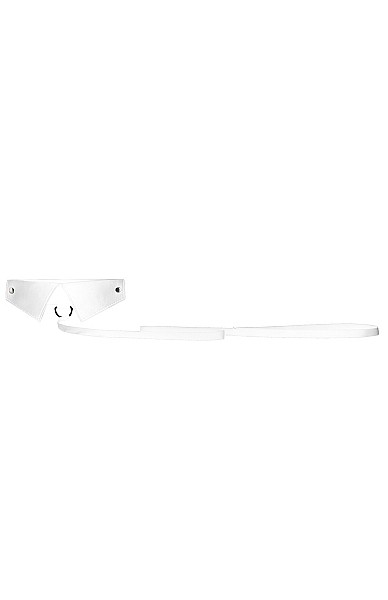 Classic Collar With Leash