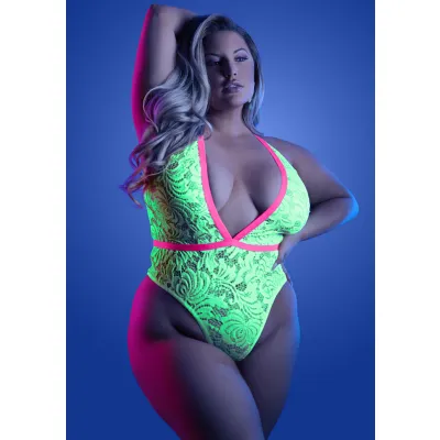Spotlight Teddy Queen Size