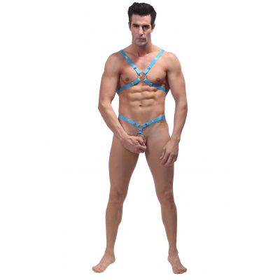 Male Power Rip Off Harness Set OS