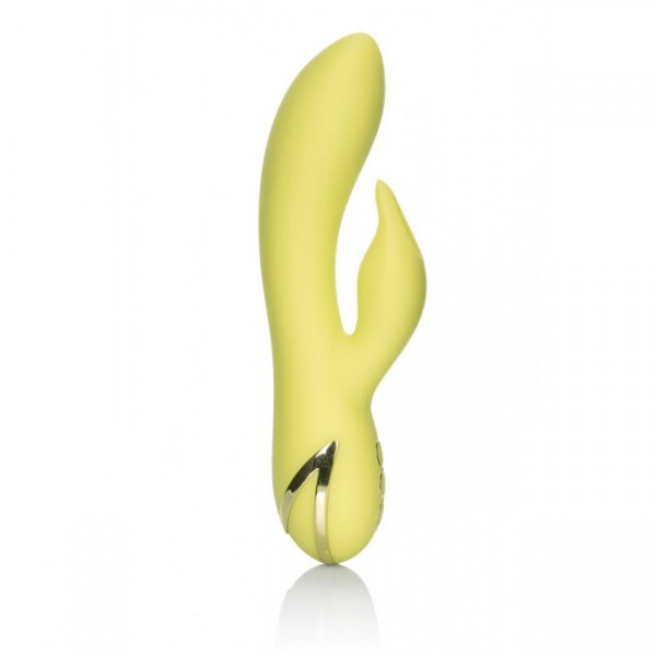 CALIFORNIA DREAMING VENICE VIXEN