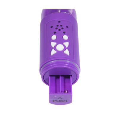 Evolved Novelties Heavenly Dolphin Purple 10 Inch