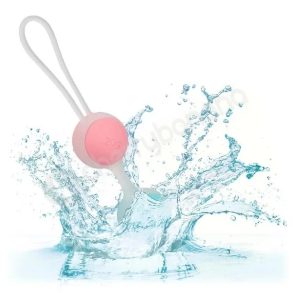 She-ology Interchangeable Weighted Kegel 8 Piece Set