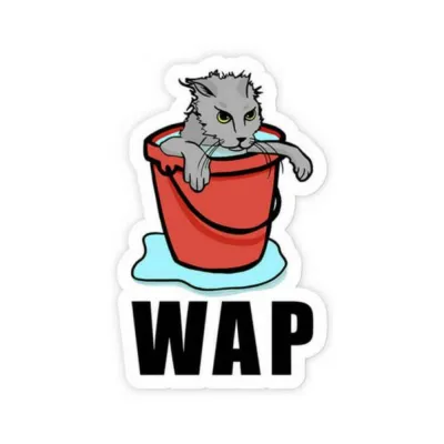 Games Novelty Twisted Wares Wap Sticker