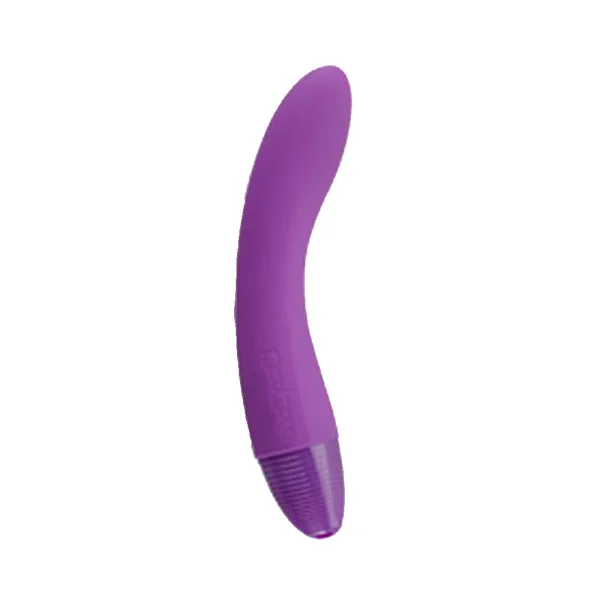 LELO PicoBong Zizo Innie Vibe Purple