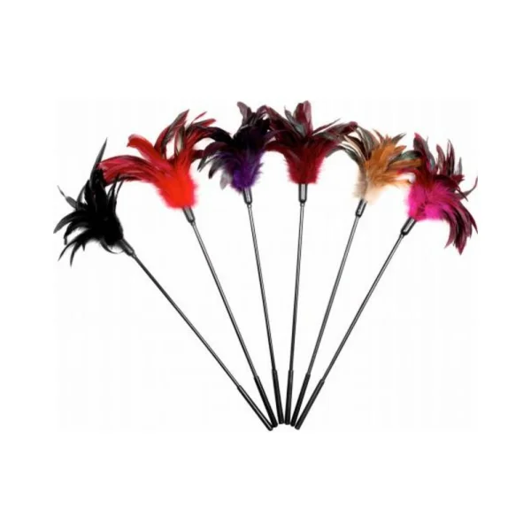 Starburst Feather Tickler 6 Pieces Assorted Display