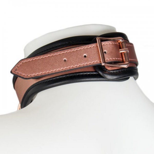 Bondara Luxe Rose Gold Real Leather Collar with Leash
