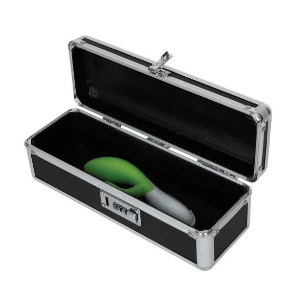 Lockable Sex Toy Storage Box