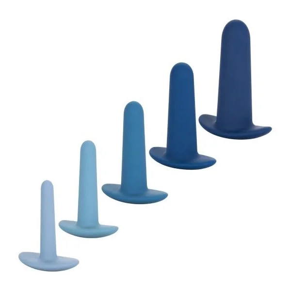 They-Ology 5 Piece Wearable Anal Training Set