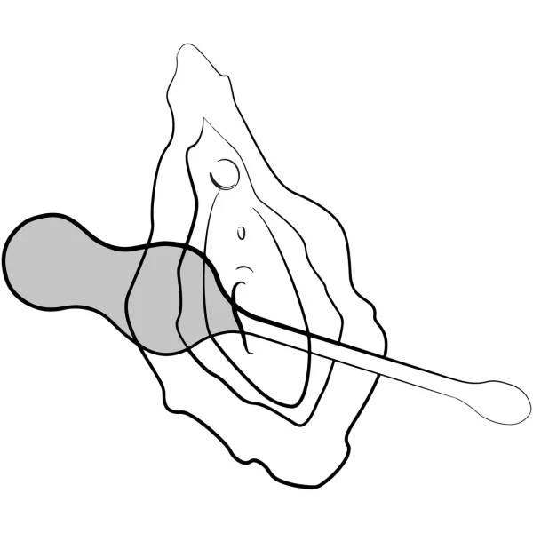 ROMP Cello Remote Control Rechargeable Vibrating Egg