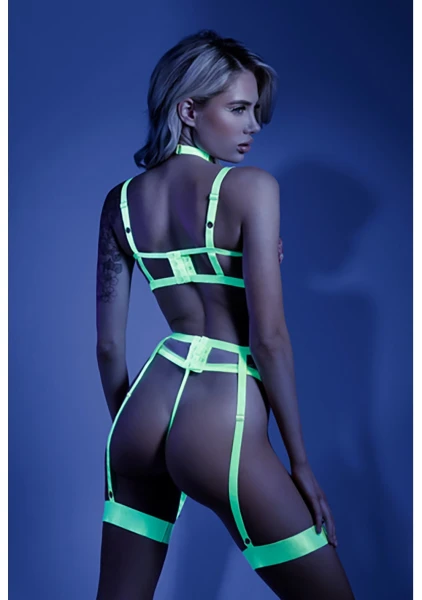 In a Trance Embroidered Bra Garter Belt and G-String