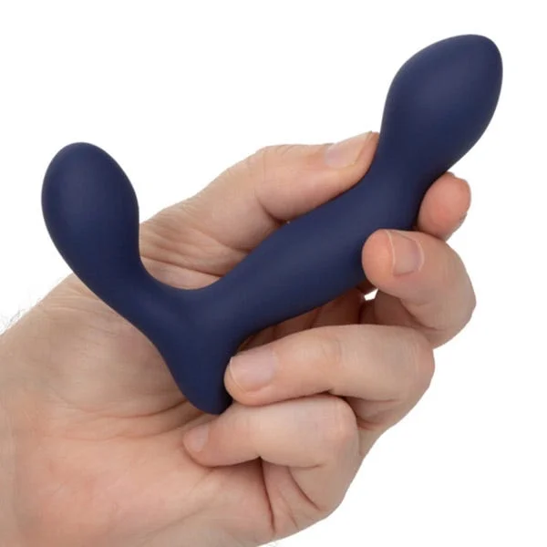 Viceroy Expert Probe