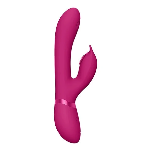 Vive Aimi Pulse Wave Rabbit Vibrator