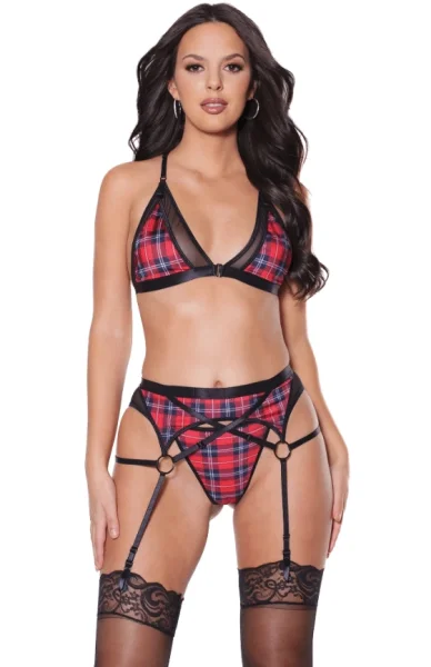 Plaid Peek-A-Boo Bra, Panties & Matching Garter Belt — image 9 of 16