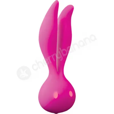 Go Go Rabbit Pink Rechargeable Massager