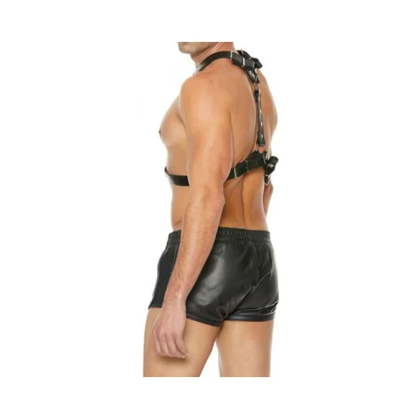 Premium Leather Harness With Metal Snaps Black — image 8 of 8