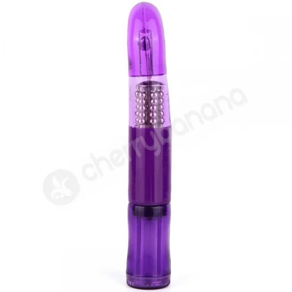 Cherry Banana Wet Dreamer 15 Function Purple Dolphin Vibrator