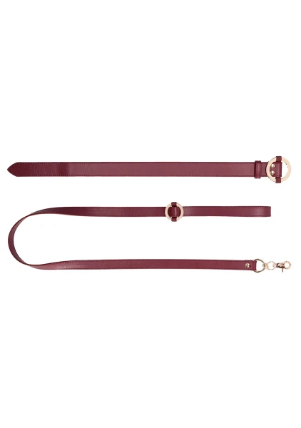 Saffron Leash & Collar